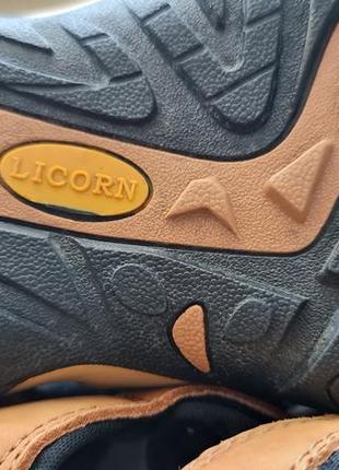 Черевики чоловічі licorn.