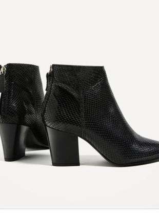 Шкіряні черевики zara, на стійких підборах