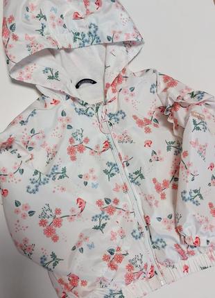 Ветровка куртка