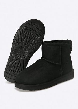 Замшеві чоботи ugg