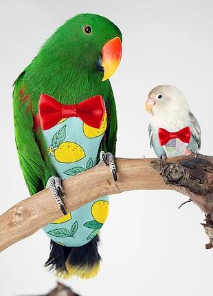 Підгузок підгузки на маленьку пташку попугая папугу канкарика сенегала нерозлучника курча каченя гусеня пташеня жаворонка горобця