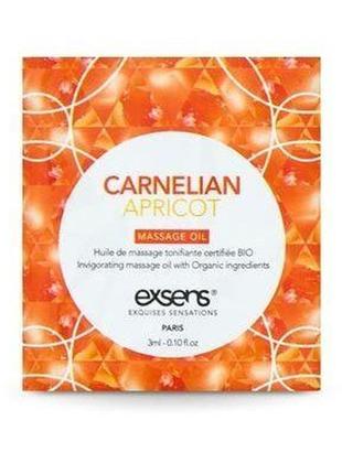 Пробник масажної олії exsens carnelian apricot 3мл