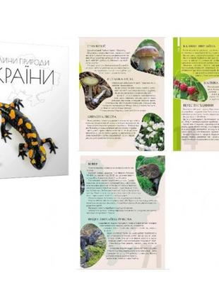 Энциклопедия для любознательных а5: жемчужины природы украины 96 с. р.170х225мм твердый переплет