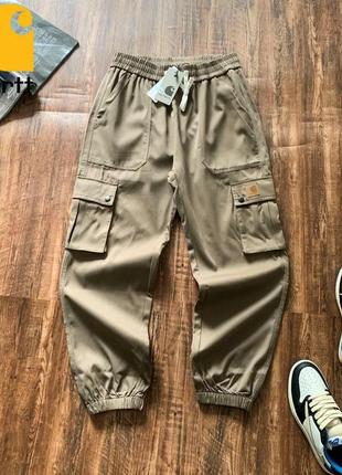 Штани carhartt