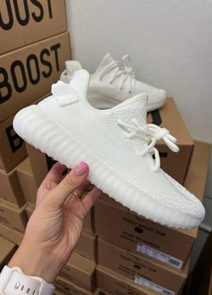 Кроссовки adidas campus