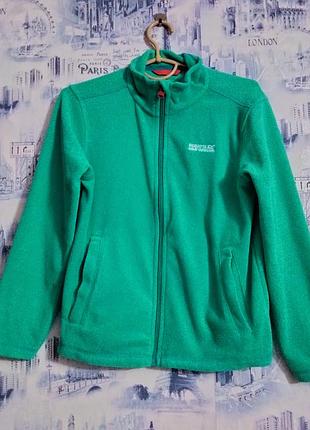 Флиска берюзовая