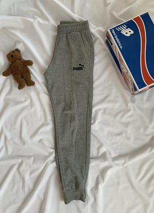 Спортивные штаны Night puma