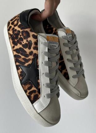 Голден кеды кожаные golden goose supestar leo print