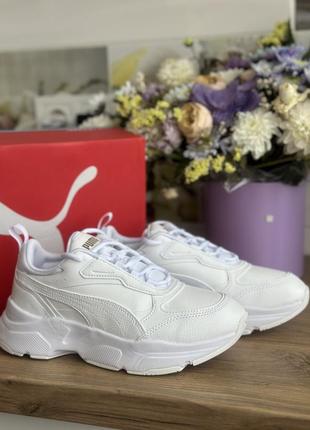 Кросівки puma