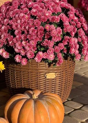 Вазони, кашпо, балконні лотки 6