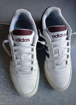 Кросівки adidas hoops 3.0 low classic vintage 20227 фото