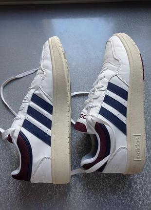 Кросівки adidas hoops 3.0 low classic vintage 20228 фото