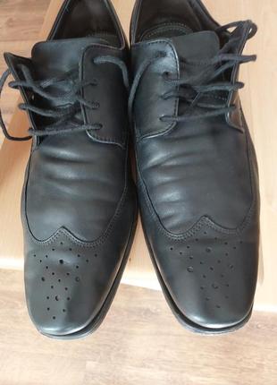 Туфлі шкіра clarks