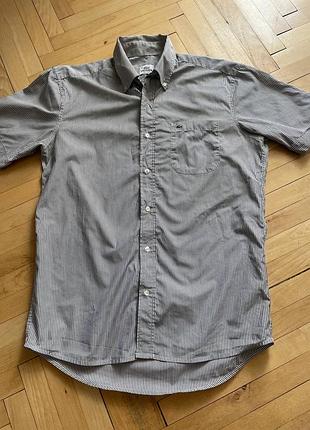 Чоловіча сорочка lacoste