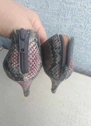Шикарні туфлі лодочки каблук кошача лапка принт під пітона зміїний принт comfort view9 фото