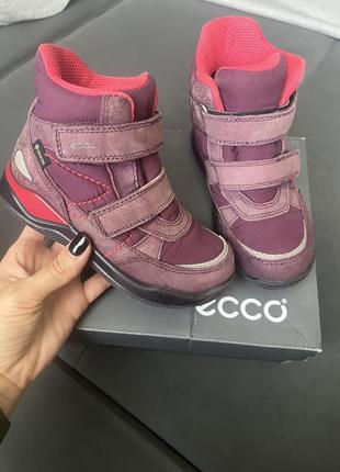 Зимние сапоги ecco 27р