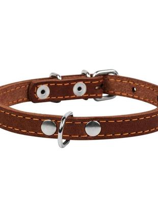 Ошейник для собак collar одинарный, коричневый (ширина 10мм, длина 22-30см)