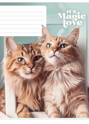 Тетрадь ученическая "it''s a magic love" 012-3300l-4 в линию, 12 листов