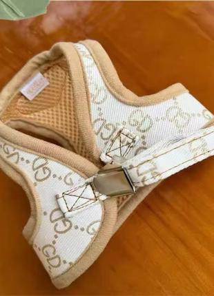 Комплект шлея та повідець в стилі відомого бренду для собак та котів2 фото