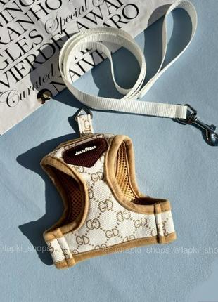 Комплект шлея та повідець в стилі відомого бренду для собак та котів3 фото