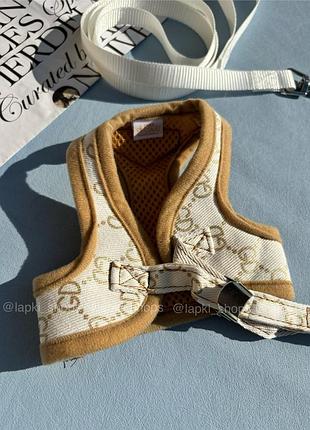 Комплект шлея та повідець в стилі відомого бренду для собак та котів4 фото