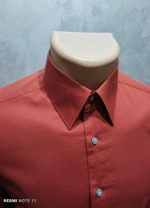 Безупречная терракотовая рубашка non iron производителя элитных рубашек из нимечки olymp3 фото