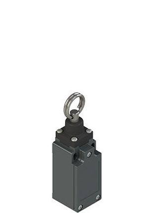 Кінцевий вимикач з кільцем для активації, 1no+1nc, ip67,  fm 576-m2 pizzato elettrica