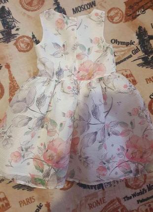 Сукня