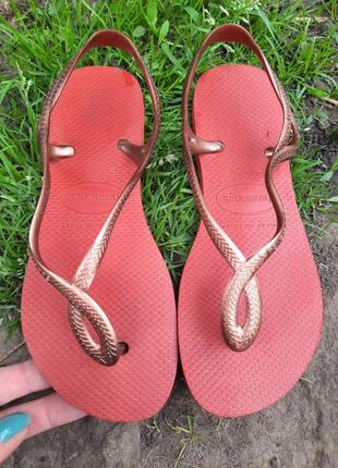 Босоножки босоніжки сандалии havaianas сандали по стельке 23 см р.353 фото