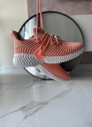 Кросівки adidas