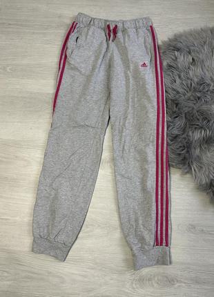 Спортивні штани adidas