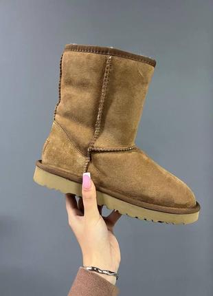 Ugg 38