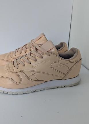 Кроссовки reebok classic
