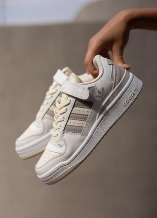 Жіночі кросівки adidas forum low beige gray