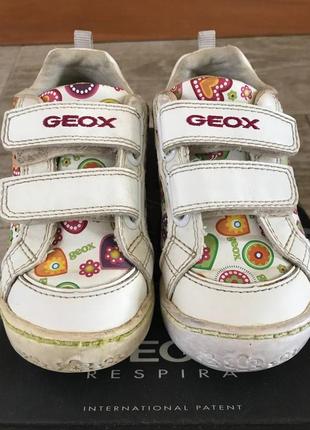 Кросівки geox