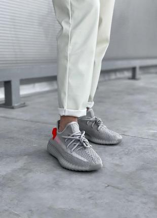 Кроссовки adidas yeezy boost 350 grey, adidas terrex, adidas iniki, adidas samba, adidas campus, adidas forum, adidas niteball9 фото