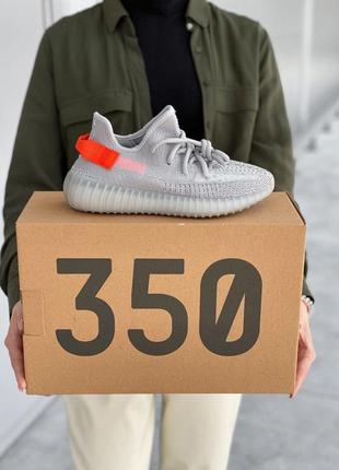 Кроссовки adidas yeezy boost 350 grey, adidas terrex, adidas iniki, adidas samba, adidas campus, adidas forum, adidas niteball5 фото