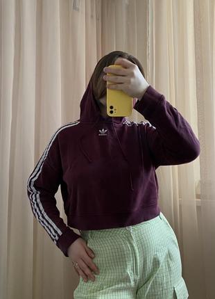 Укороченное худи collection adidas2 фото