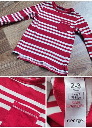 Реглан смужка