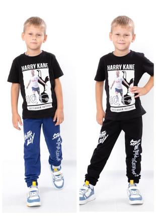 Утепленные демисезонные спортивные штаны с начесом мальчика