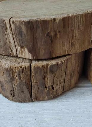 Срез, спил акации, экодекор, подставка с акации, для дома