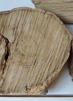 Срез, спил акации, экодекор, подставка с акации, для дома
