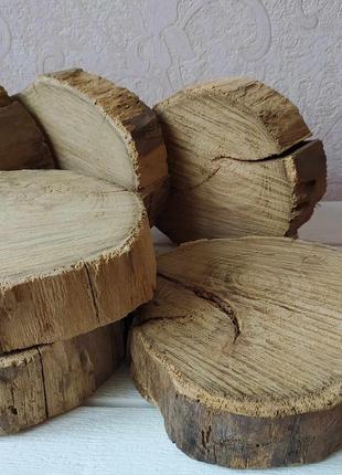 Срез, спил акации, экодекор, подставка с акации, для дома