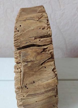 Срез, спил яблони, экодекор, подставка, для дома
