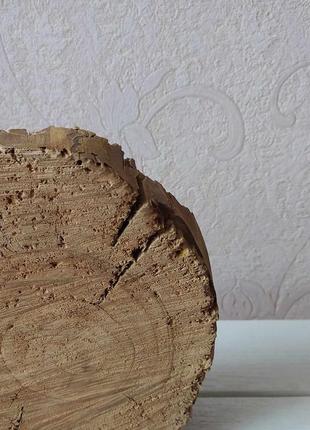 Срез, спил яблони, экодекор, подставка, для дома