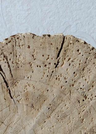 Срез, спил яблони, экодекор, подставка, для дома