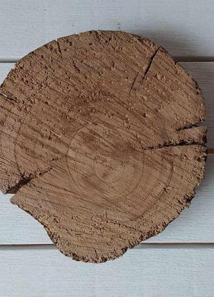 Срез, спил яблони, экодекор, подставка, для дома