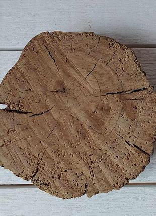 Срез, спил яблони, экодекор, подставка, для дома