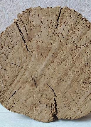 Срез, спил яблони, экодекор, подставка, для дома