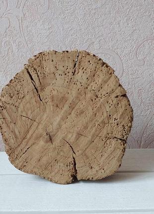 Срез, спил яблони, экодекор, подставка, для дома